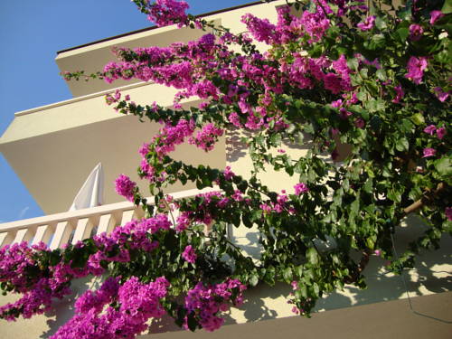 Baška Voda Kroatien Premium-Hotel-Rabattcode booking.com