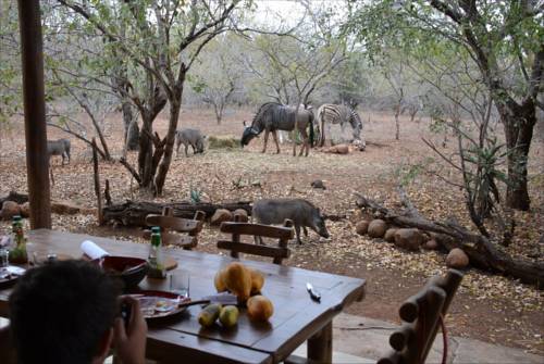 Marloth Park Südafrika Premium-Hotel-Rabattcode booking.com