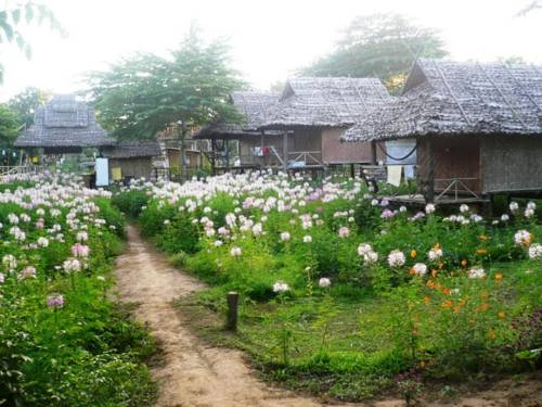 Pai Thailand Premium-Hotel-Rabattcode booking.com