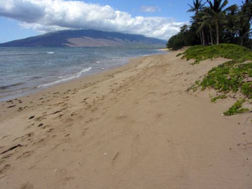 Kihei (Maui, Hawaii) Vereinigte Staaten Premium-Hotel-Rabattcode booking.com