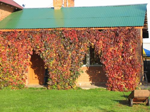 Susdal Russland Premium-Hotel-Rabattcode booking.com