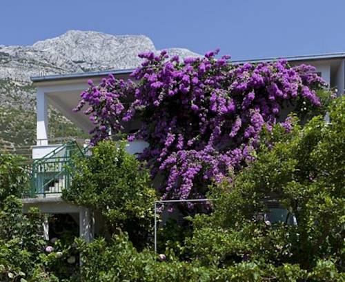 Baška Voda Kroatien Premium-Hotel-Rabattcode booking.com